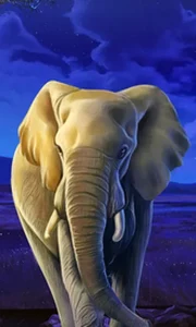 African Elephant