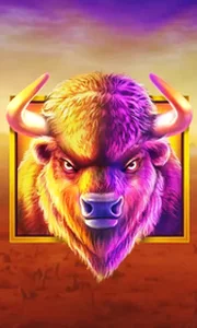 Buffalo King